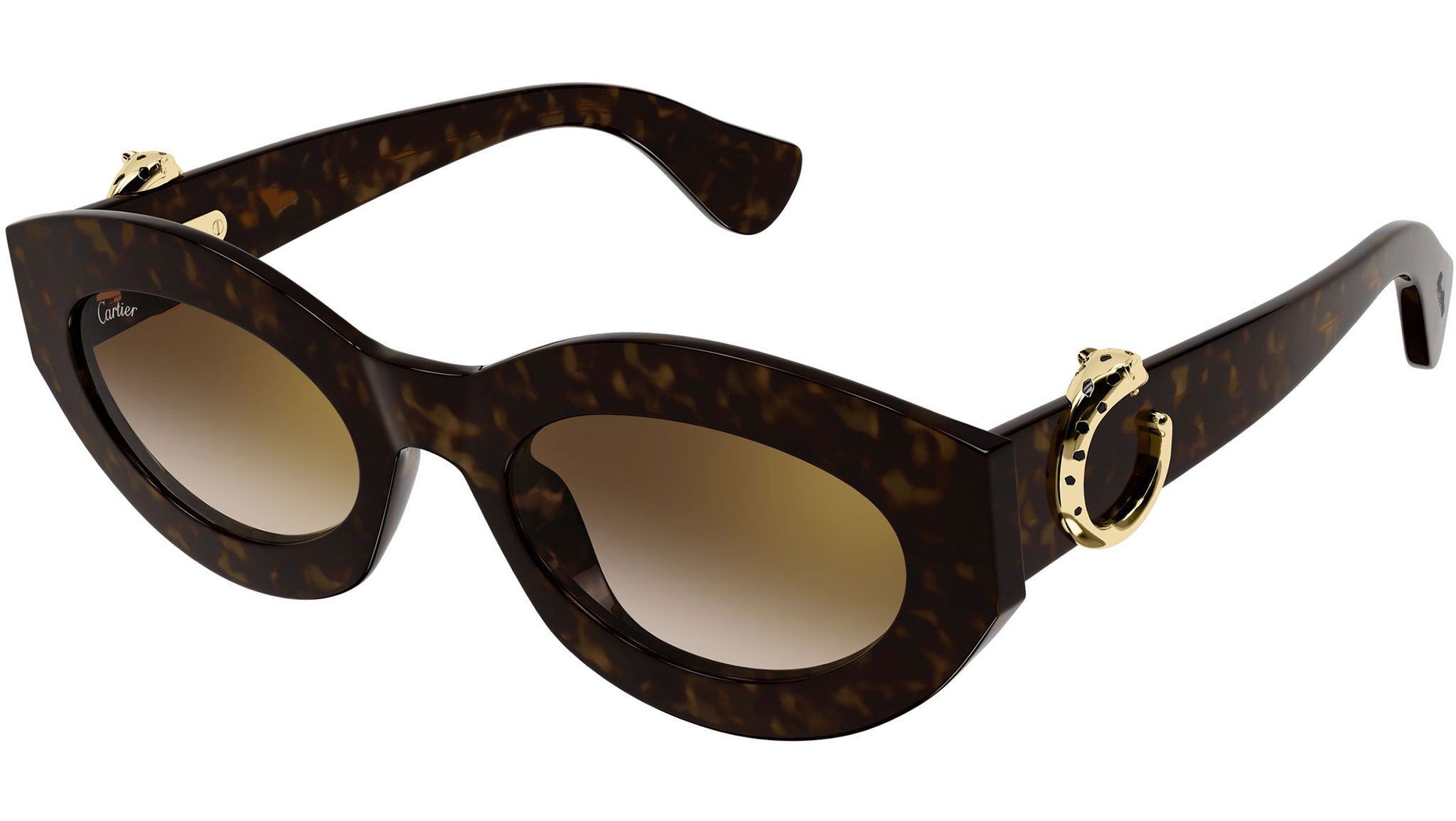 Cartier CT0638S Sunglasses 002 Dark Havana Brown - eye-oo.com display picture 1