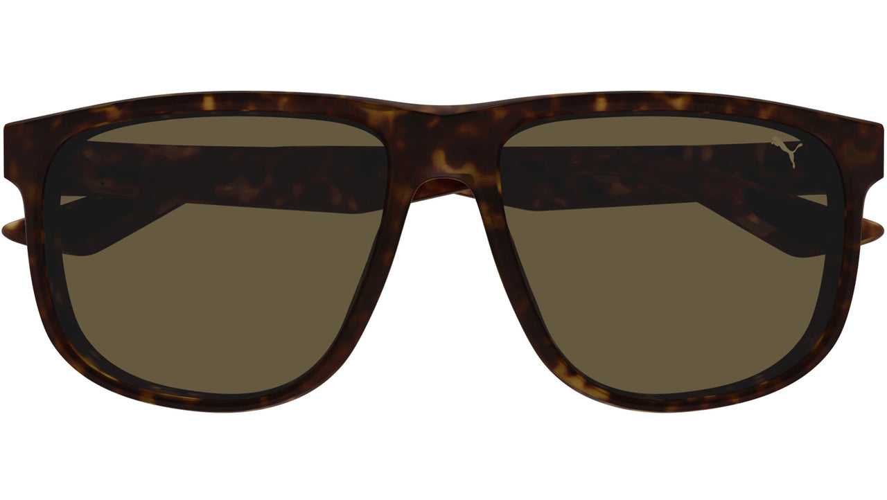PU0441S 002 Dark Havana Brown