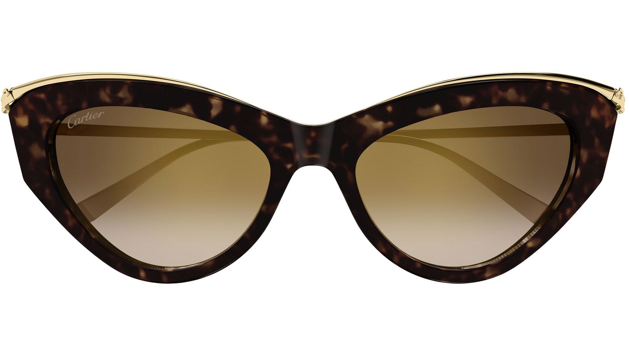 Cartier CT0596S Sunglasses 002 Dark Havana - eye-oo.com display picture 2