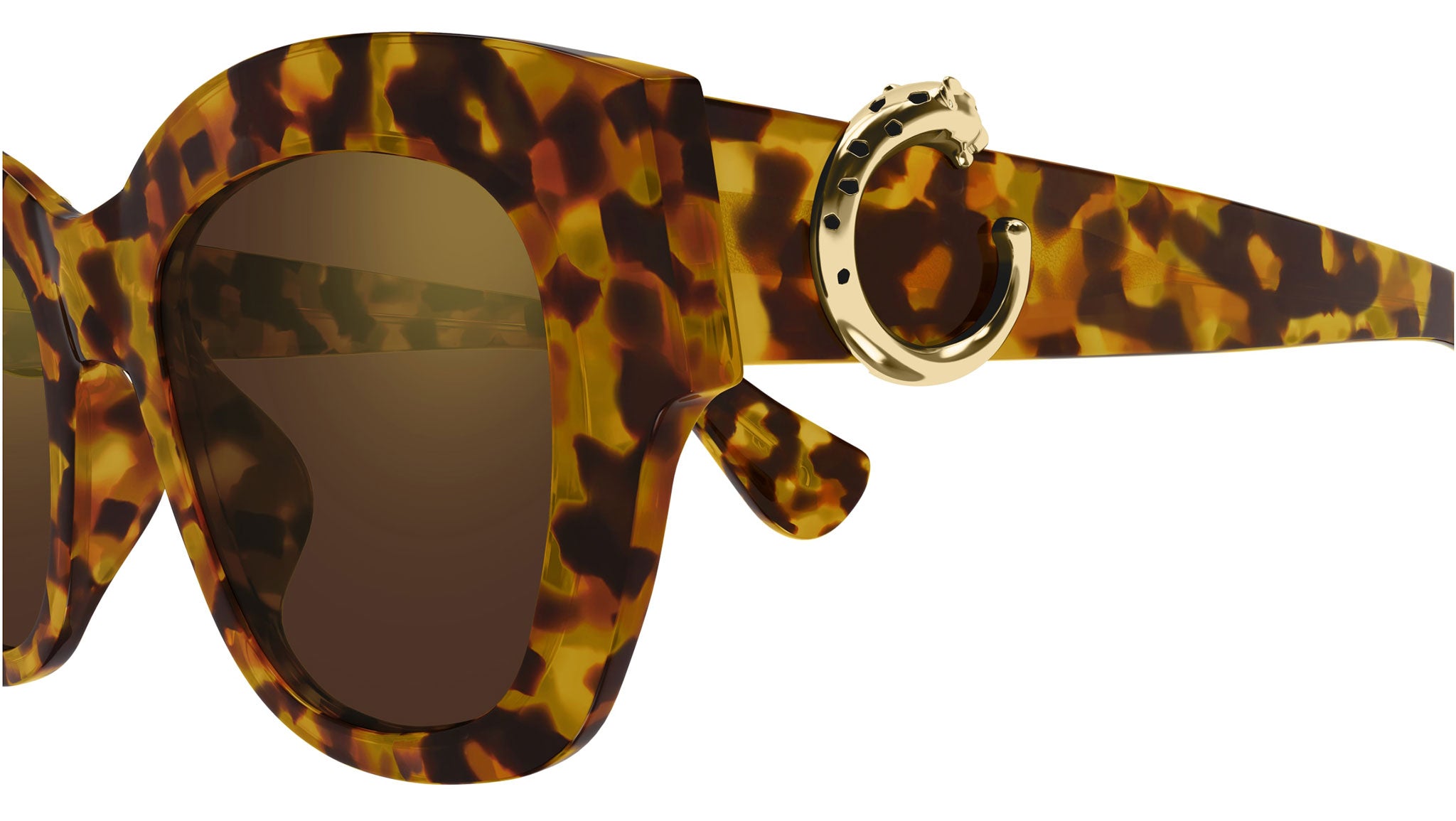 Cartier CT0547S 005 Sunglasses Brown Havana Brown - eye-oo.com display picture 2