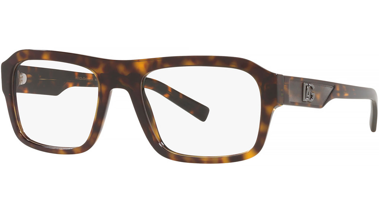 DG 3351 502 tortoise