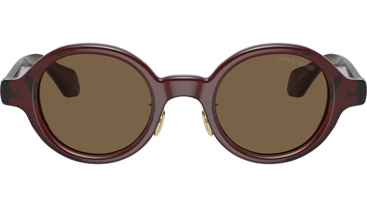 AR 8205 606273 Brown