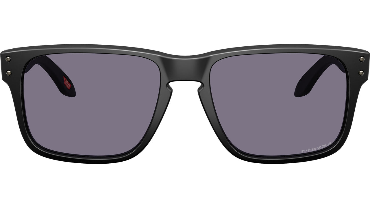 Holbrook S OO9509 02