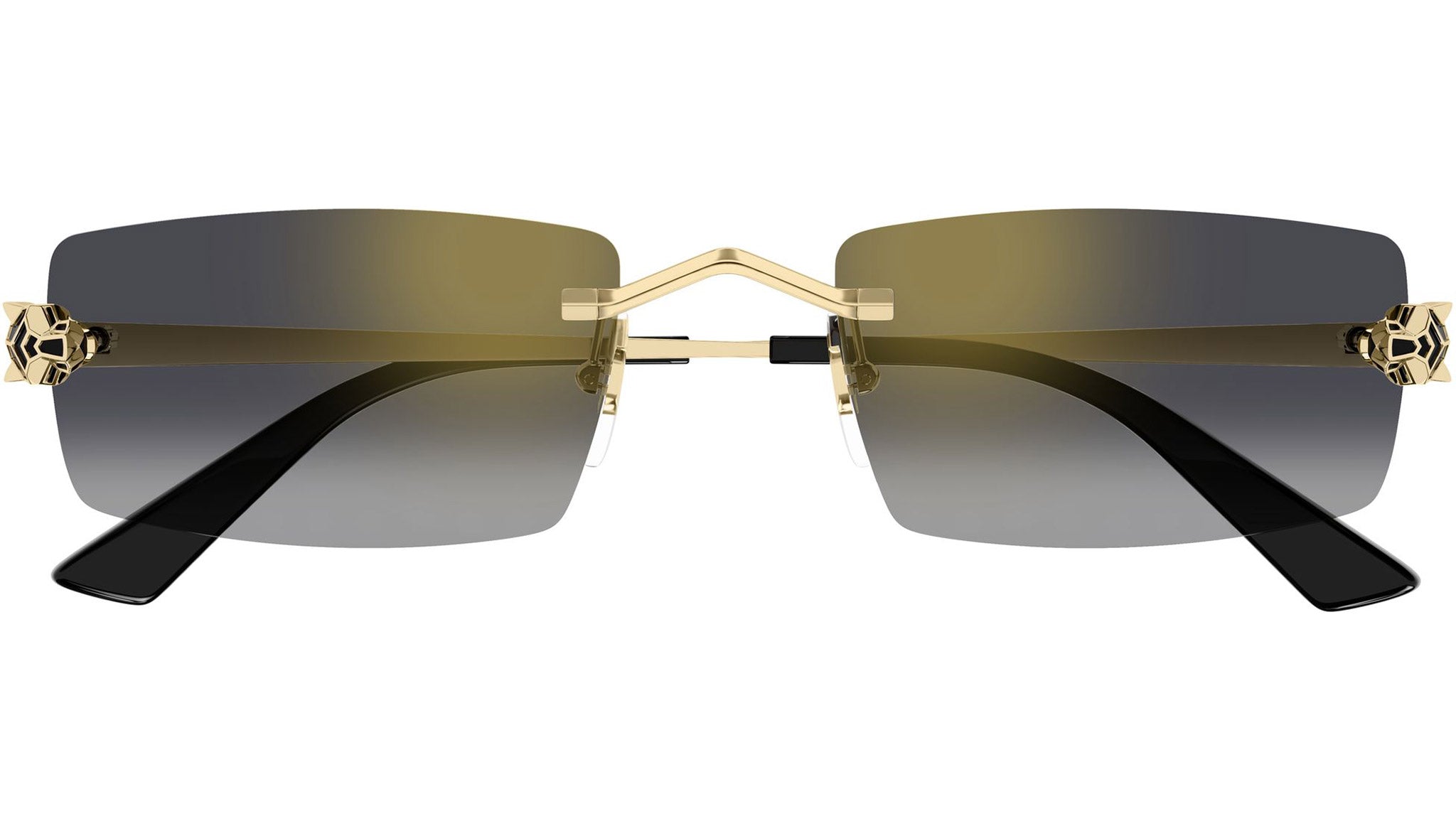 Cartier CT0598S Sunglasses 001 Gold Gold - eye-oo.com
