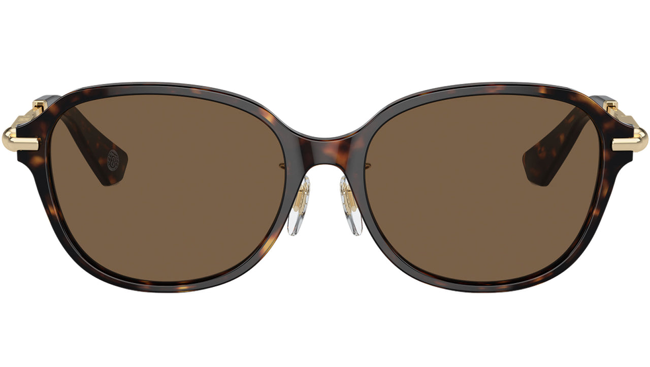 BE4429D 300273 Dark Havana