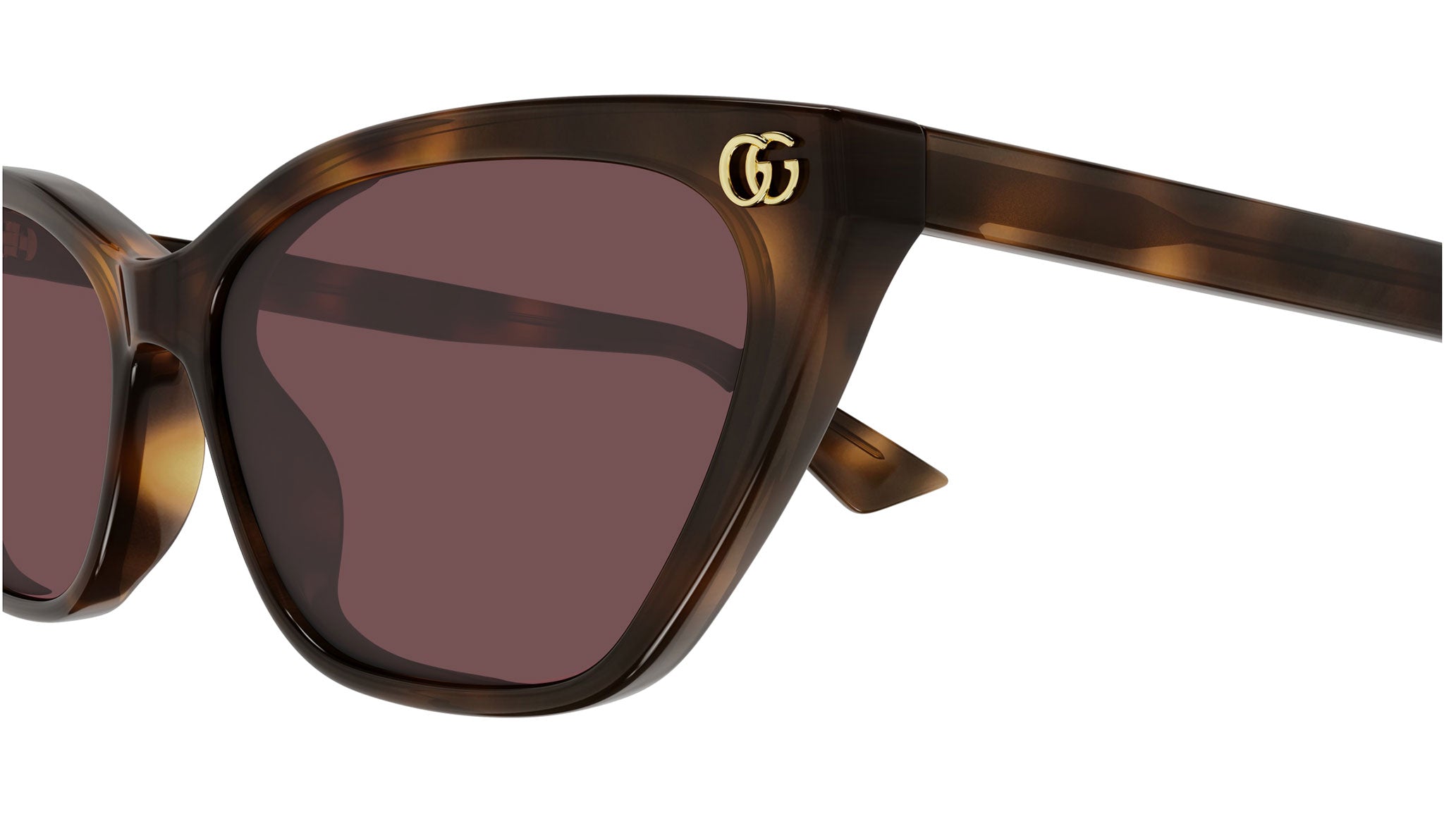 Gucci GG1815S 002 Cat Eye Sunglasses Medium Havana - eye-oo.com