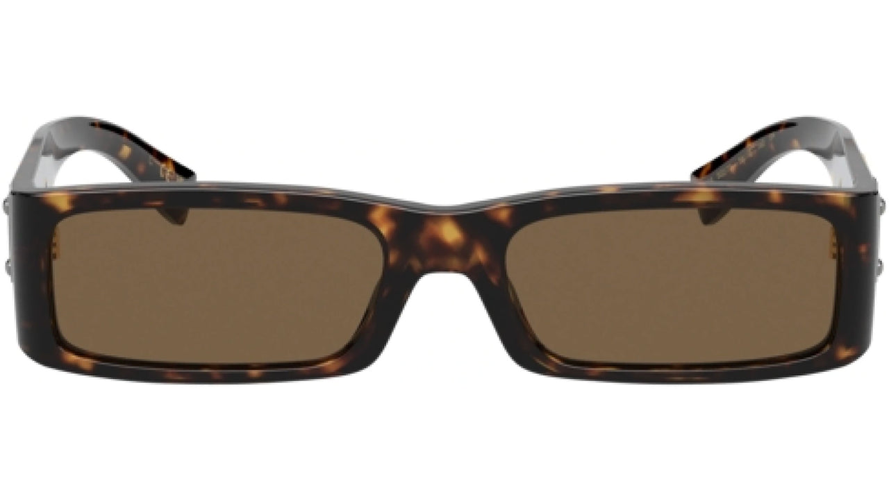 DG 4444 502/73 Tortoise Brown