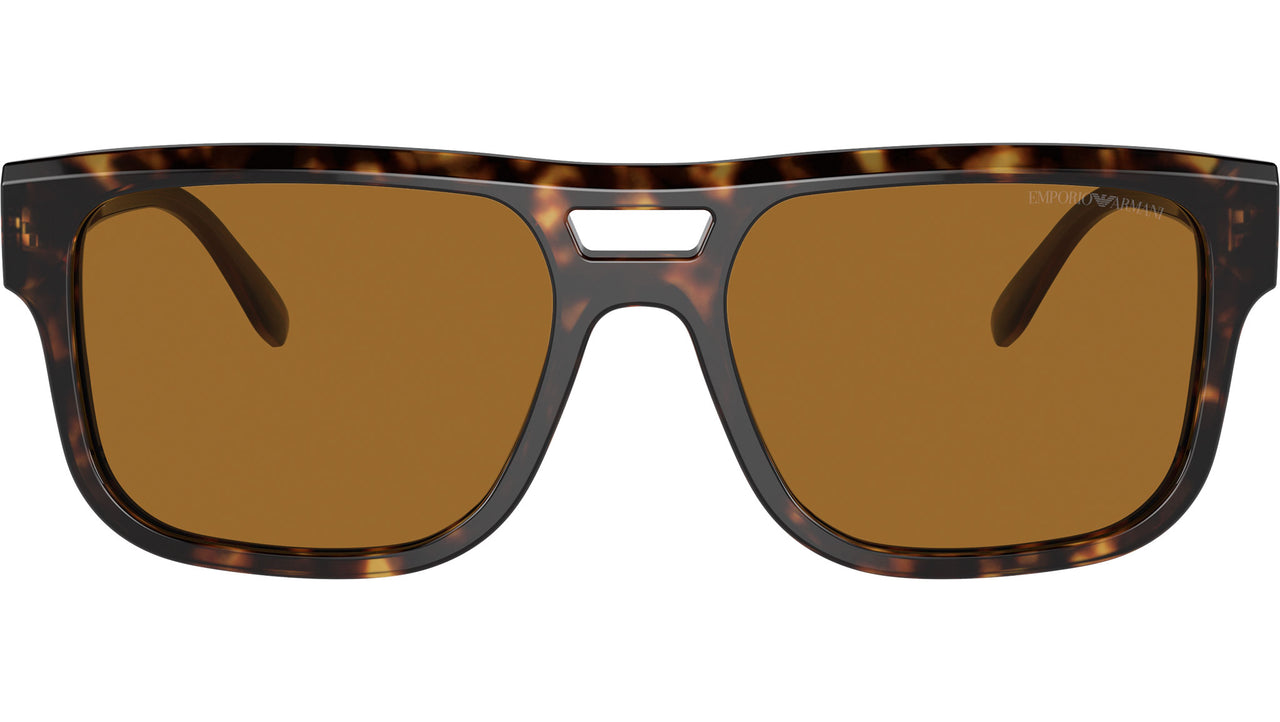 EA4197 587983 Tortoise