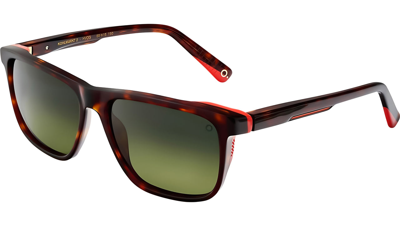 KOHLMARKT HVOG Tortoise