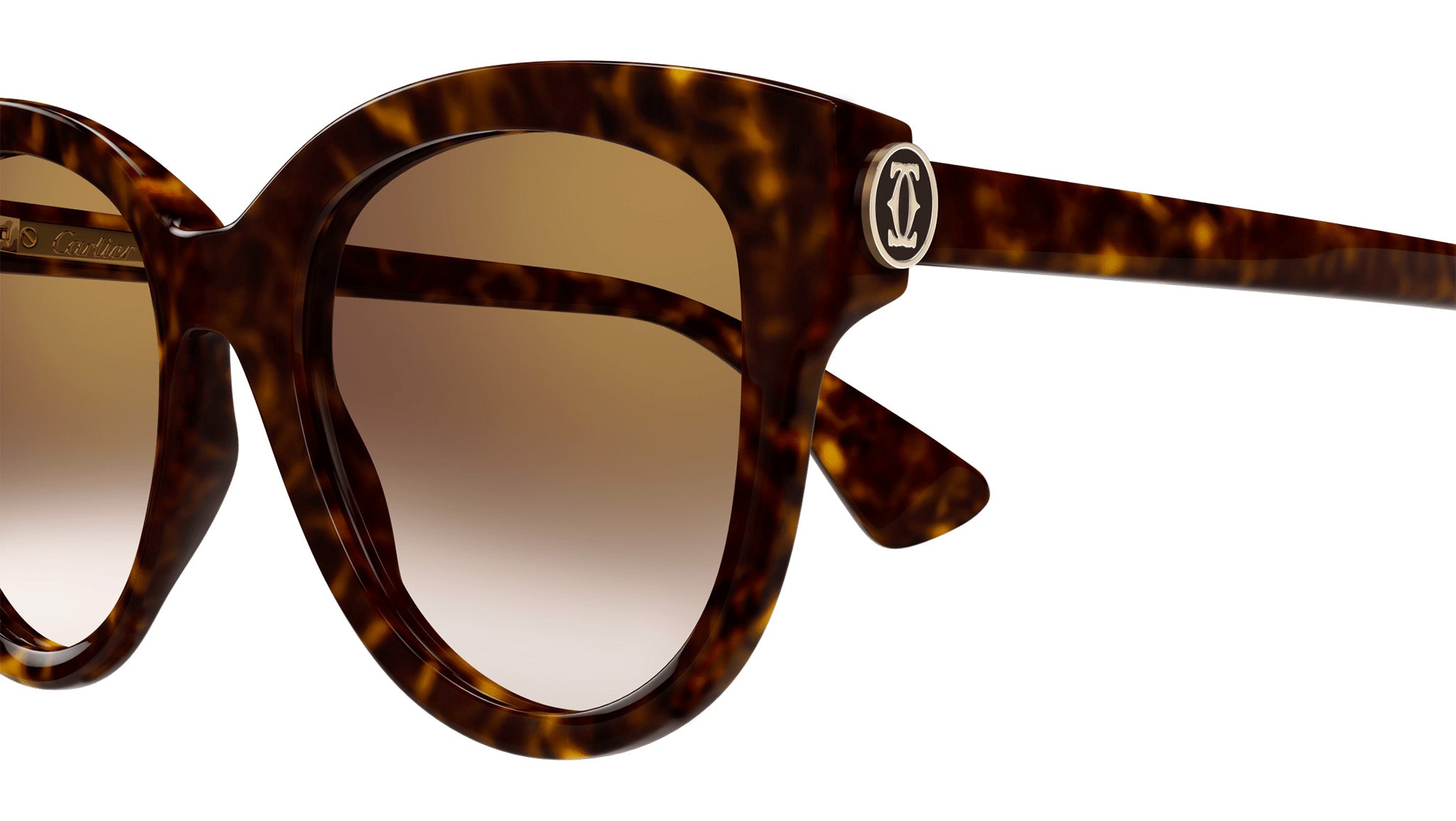 Cartier CT0506S-002 Sunglasses Havana Acetate Oversized Cartier CT0506SA 002 Sunglasses Women main image 2
