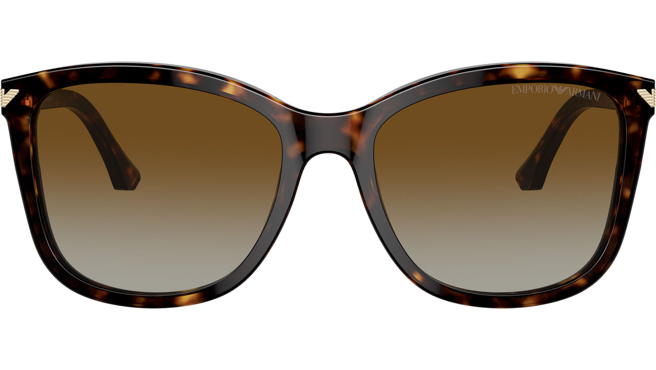 EA4060 5026T5 Tortoise