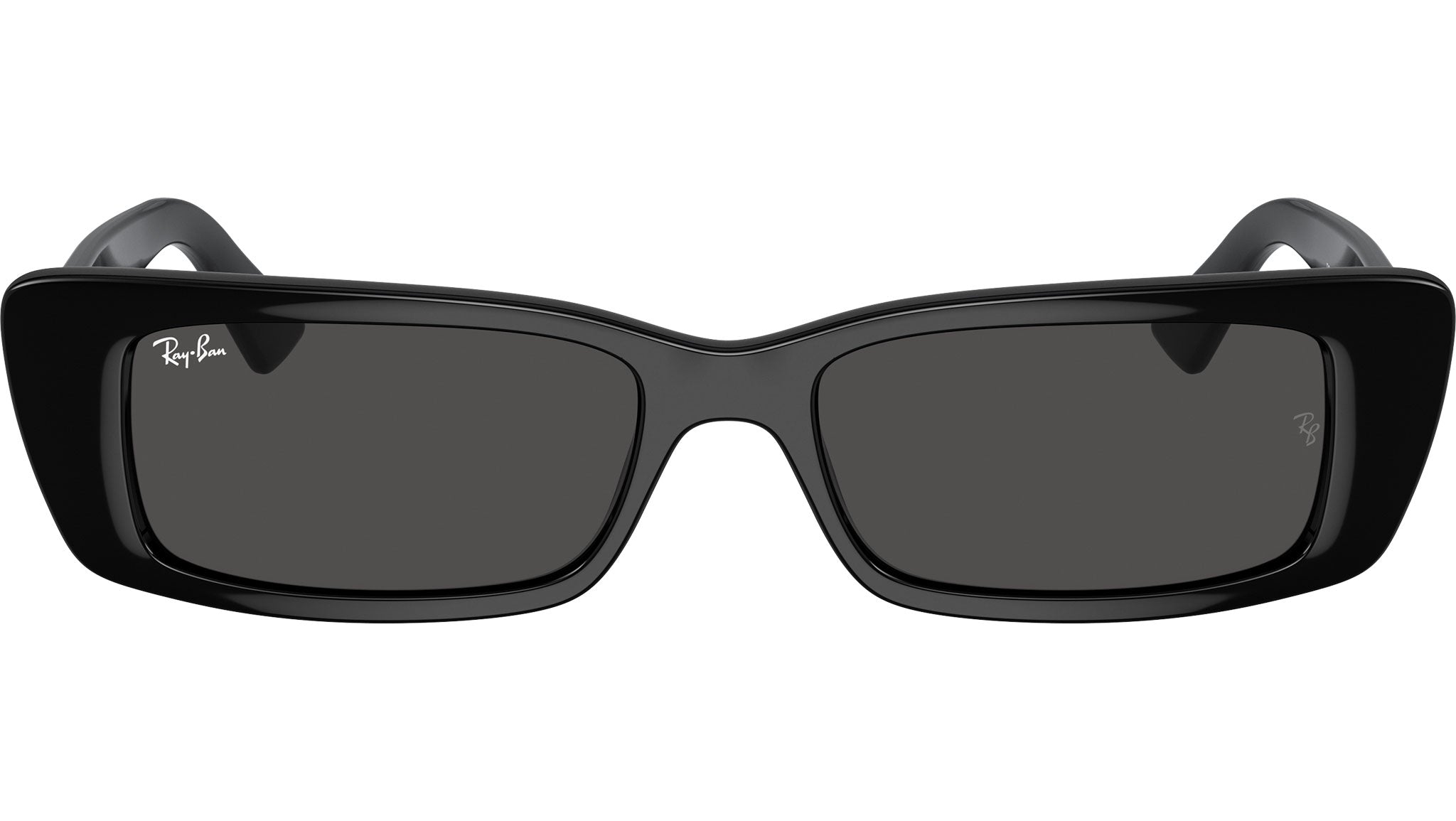 Ray-Ban Teru Sunglasses RB4425 667787 Black - eye-oo.com