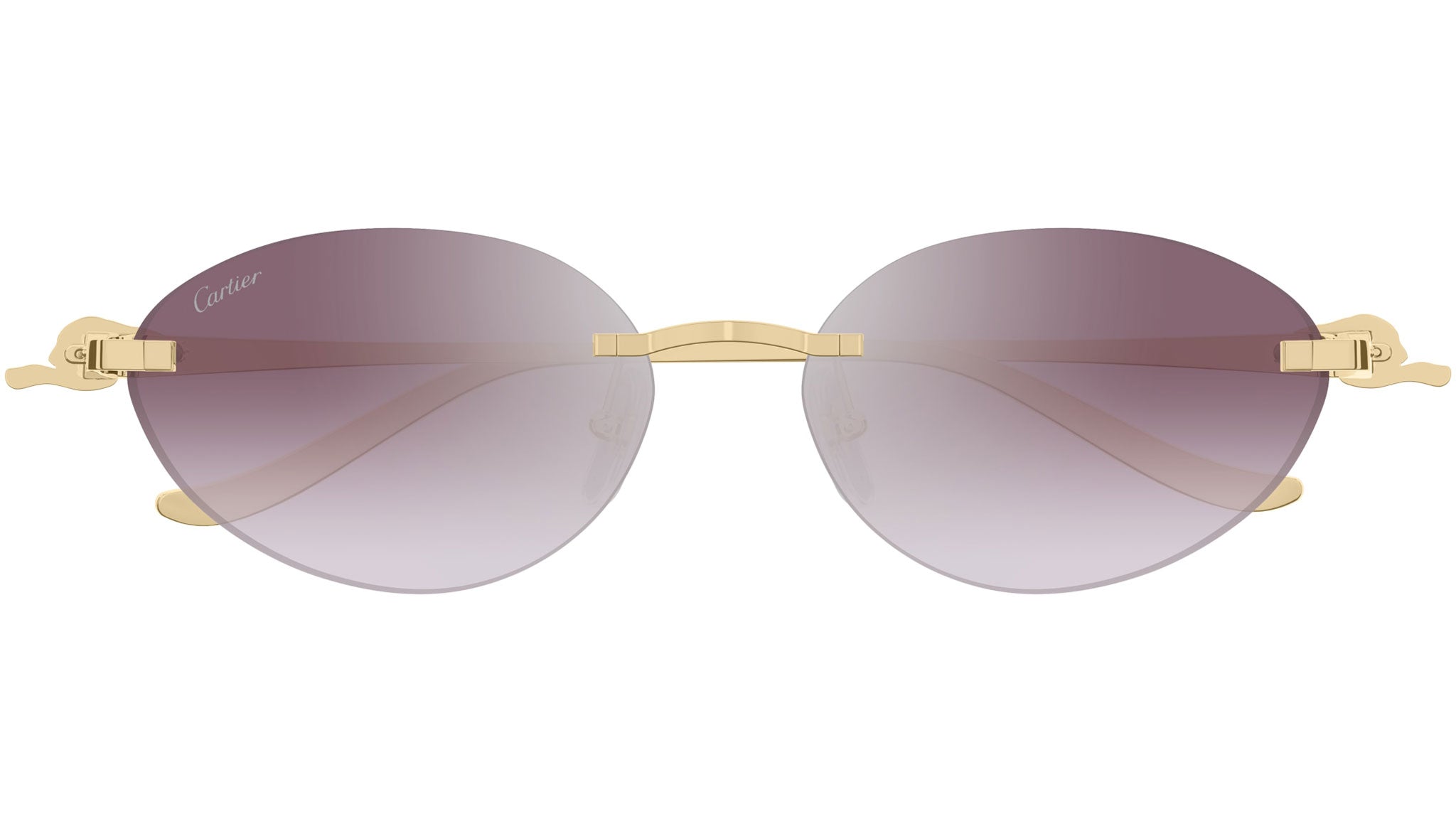 Cartier CT0504S 004 Sunglasses Shiny Gold - eye-oo.com