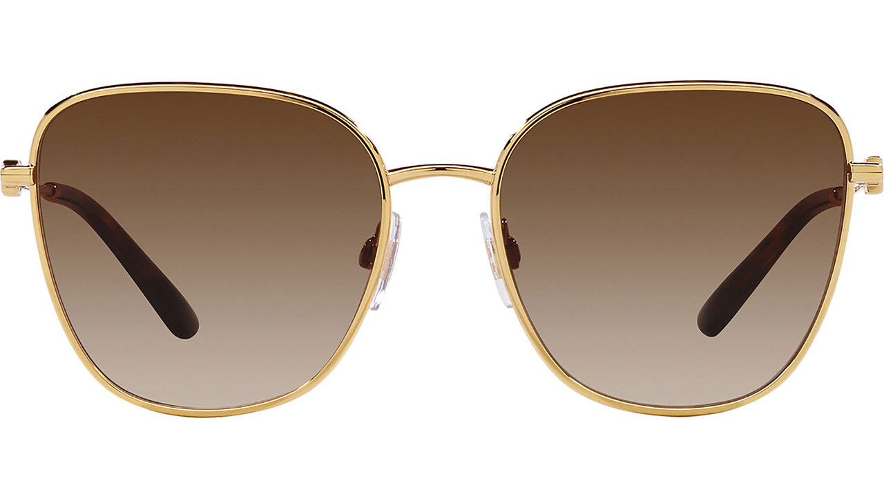 DG 2293 02/13 Gold Brown