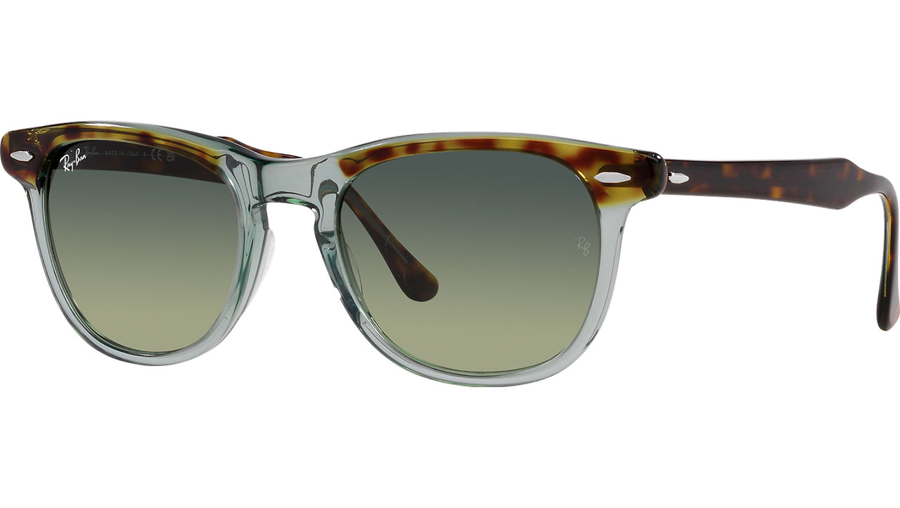 Eagleeye RB2398 1376BH tortoise