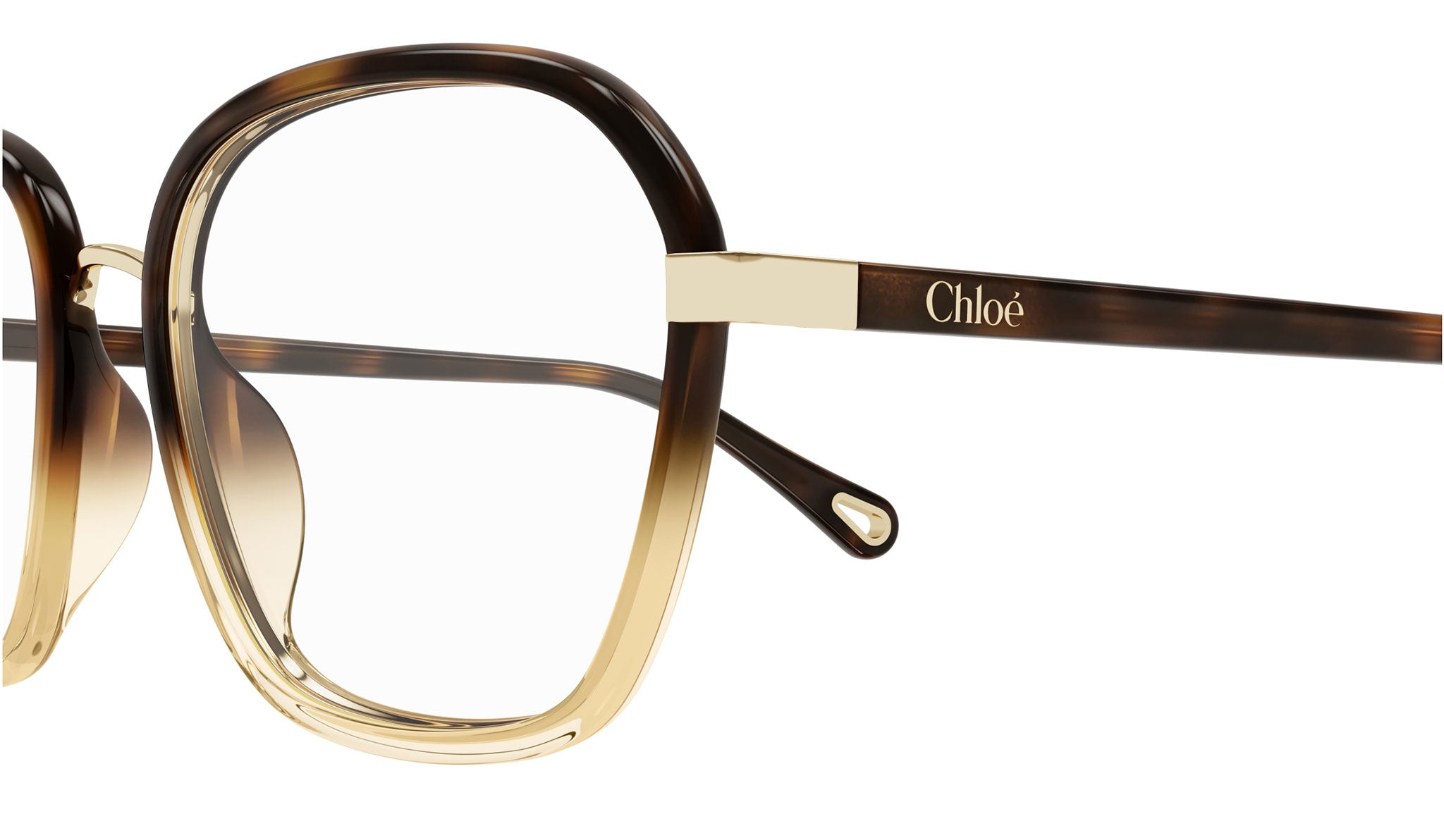 CH0309O Chloé Rectangular Eyeglasses 002 Havana - eye-oo.com display picture 2