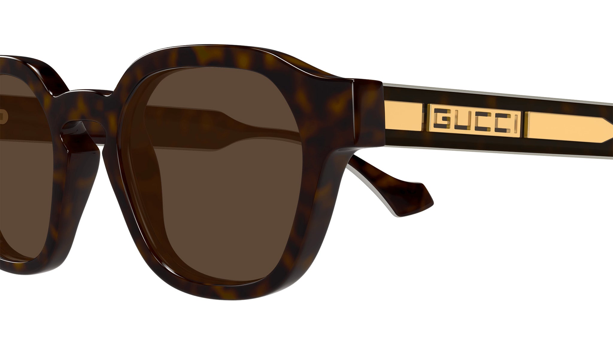 Gucci Sunglasses GG1730S 002 Dark Dark Havana - eye-oo.com