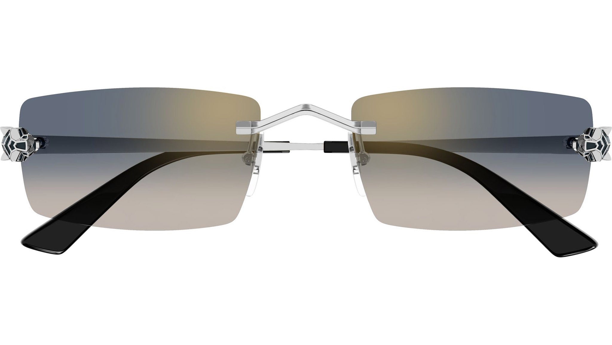 Cartier CT0598S Sunglasses 002 Shiny Silver - eye-oo.com display picture 1