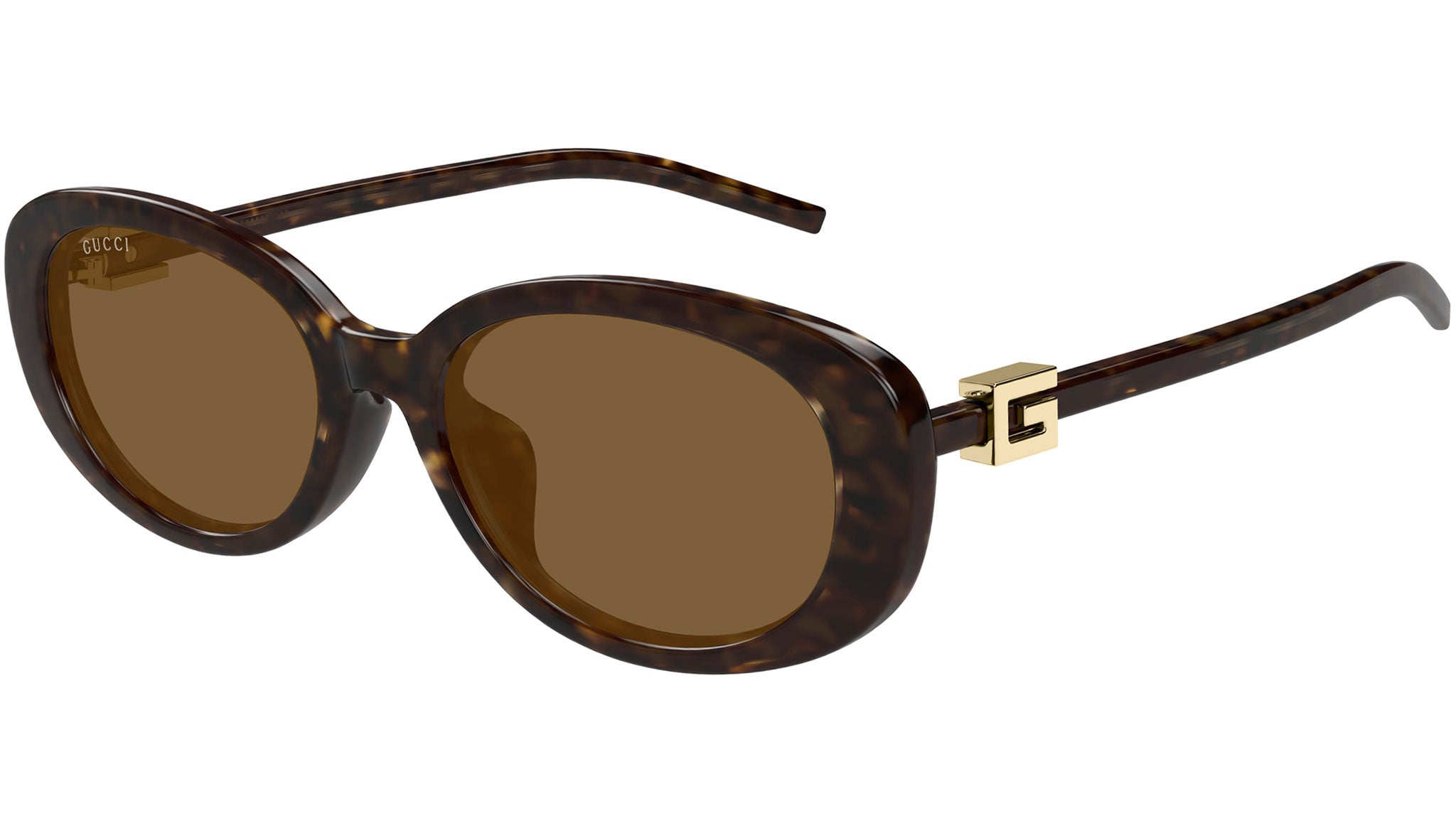 Gucci Sunglasses GG1684SA 004 Dark Dark Havana - eye-oo.com