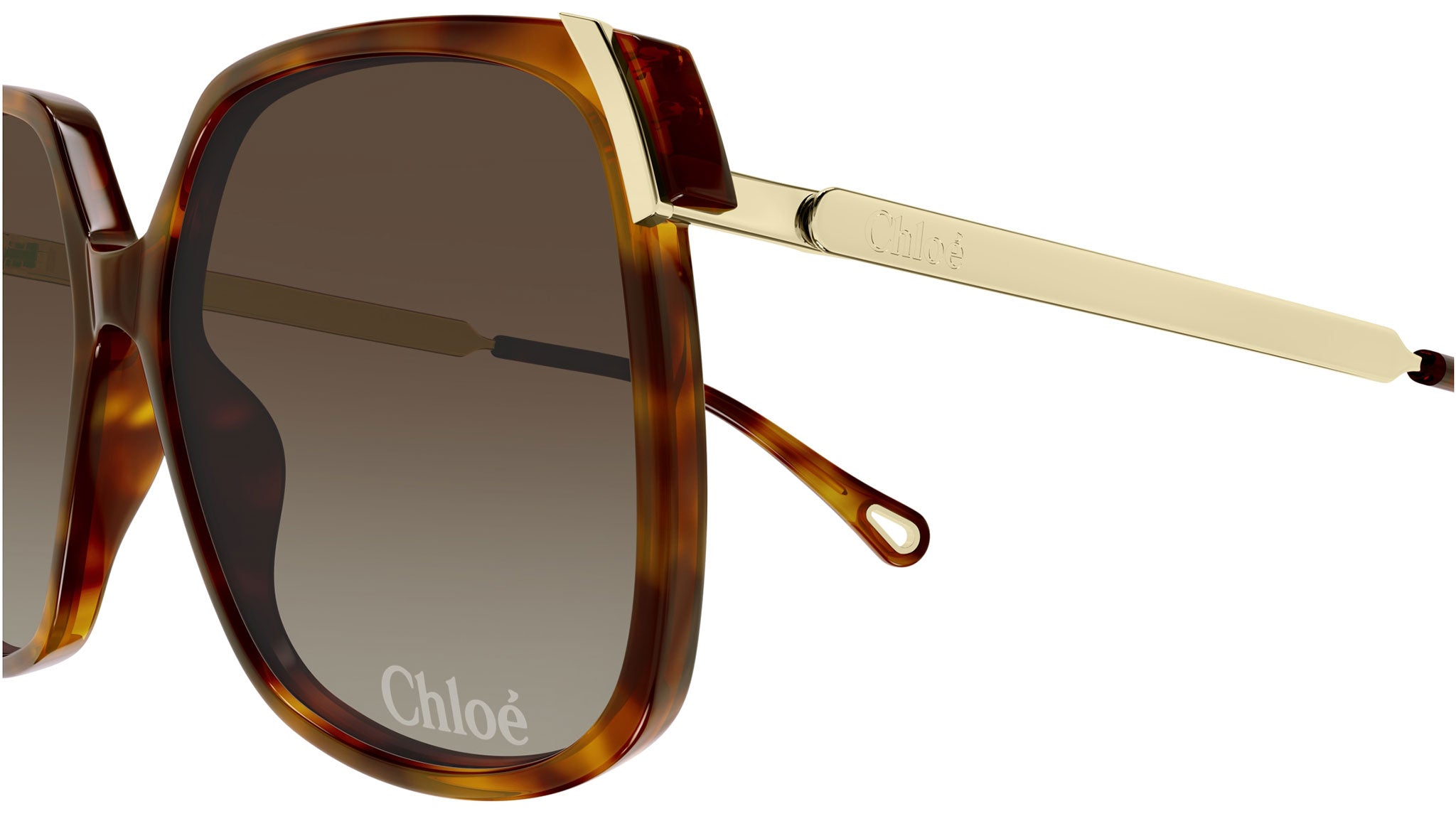 Chloeサングラス Chloé CH0286S XL (60 - 15) with Violet lenses and Brown frame