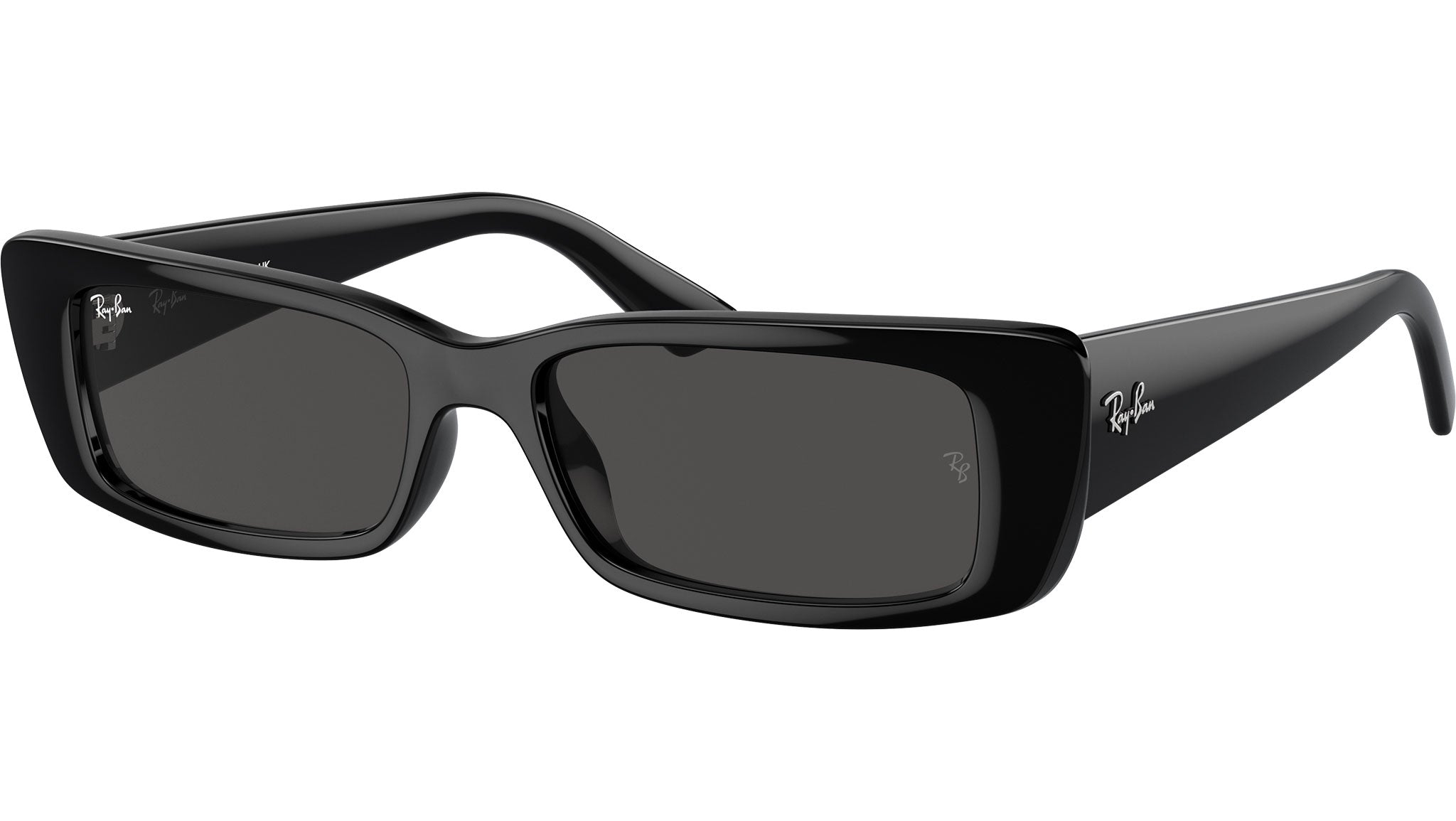 Ray-Ban Teru Sunglasses RB4425 667787 Black - eye-oo.com display picture 1