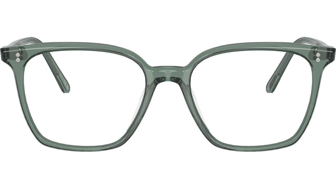 Rasey OV5488U 1547 Ivy