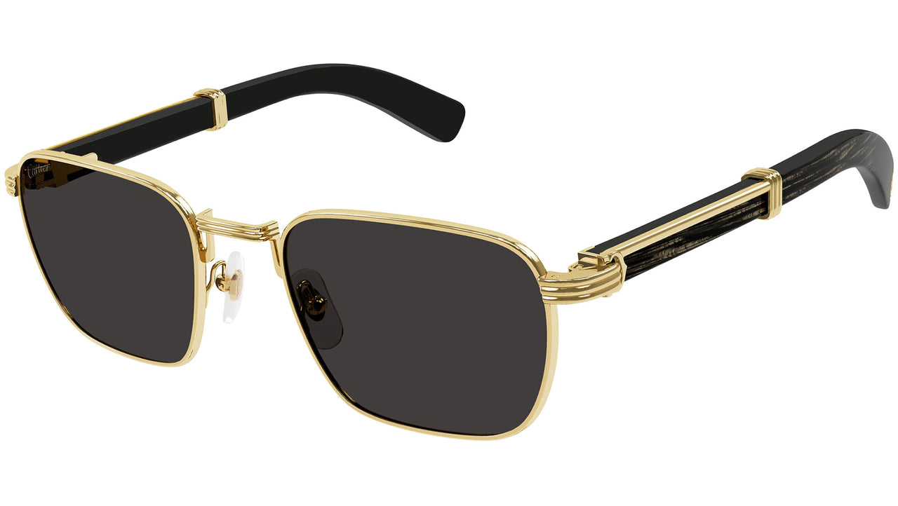 Première CT0363S 001