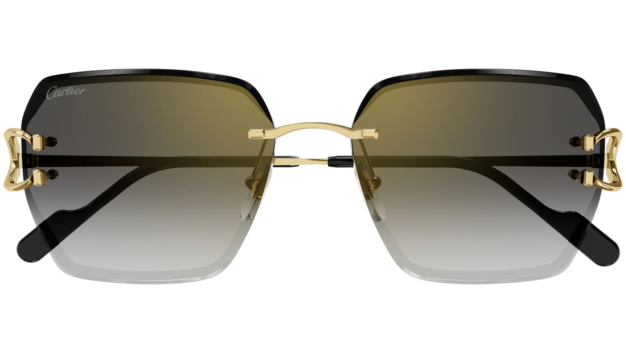 CT0466S 001 Gold Grey