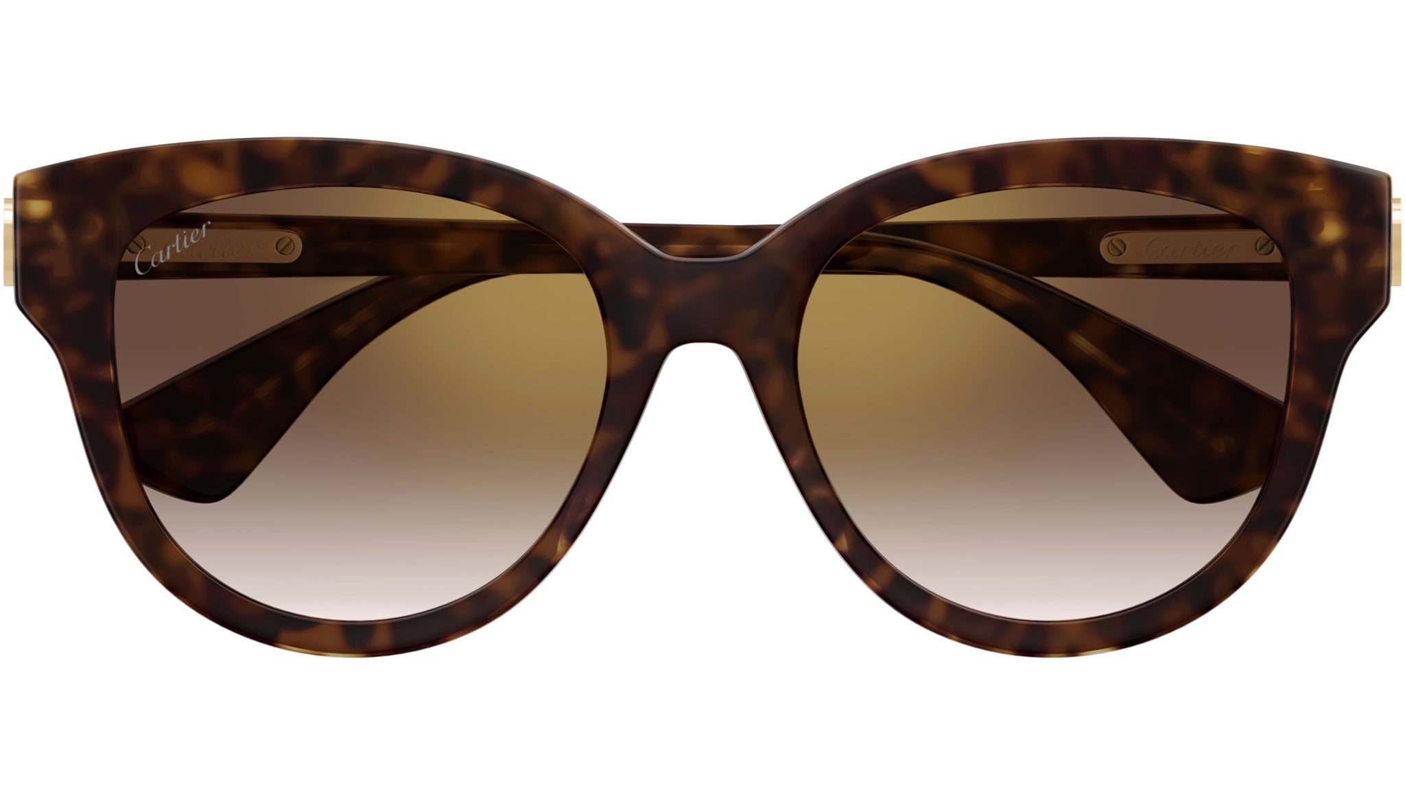 Cartier CT0506S-002 Sunglasses Havana Acetate Oversized Cartier CT0506SA 002 Sunglasses Women main image 3