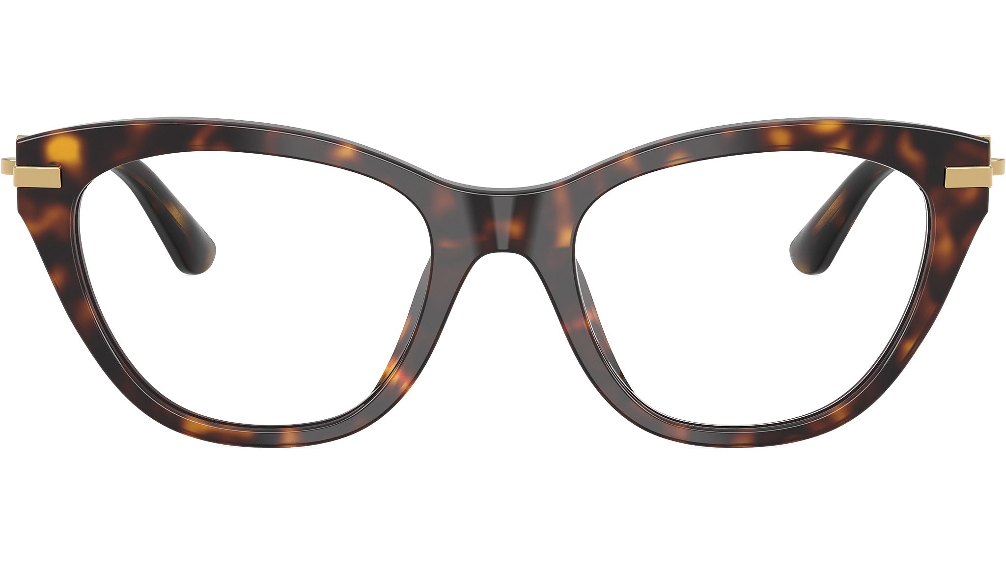 Dolce & Gabbana DG 3428 Glasses 502 Havana - eye-oo.com
