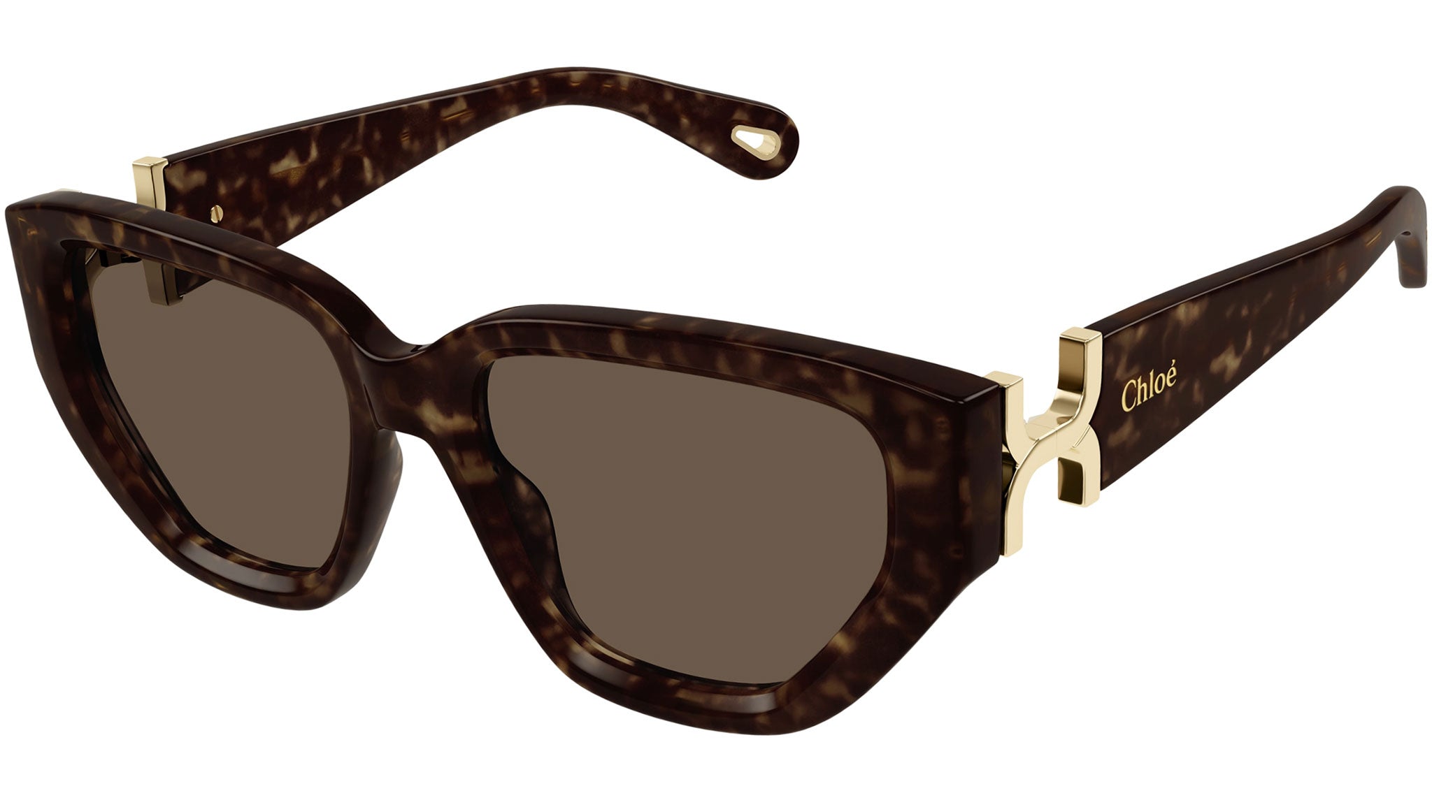 Chloe Brown Cat Eye Sunglasses Chloe CH0220S 002 Sunglasses Women main image 2