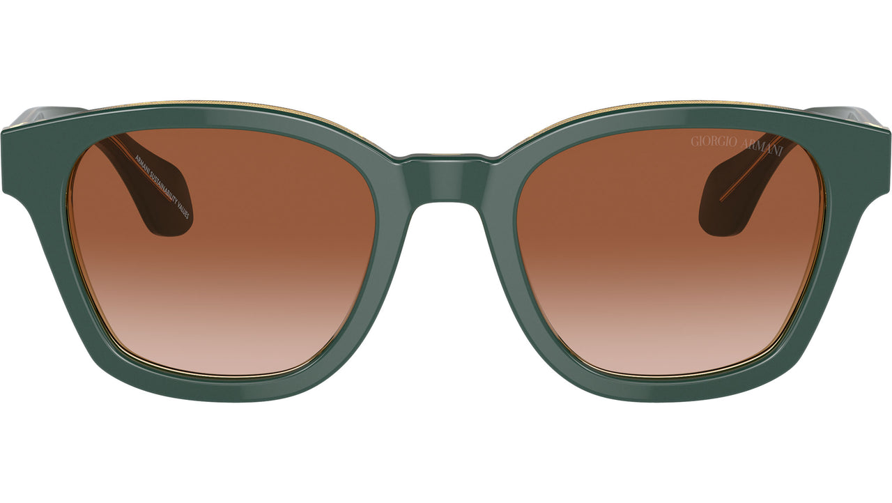 AR 8207 608613 Green