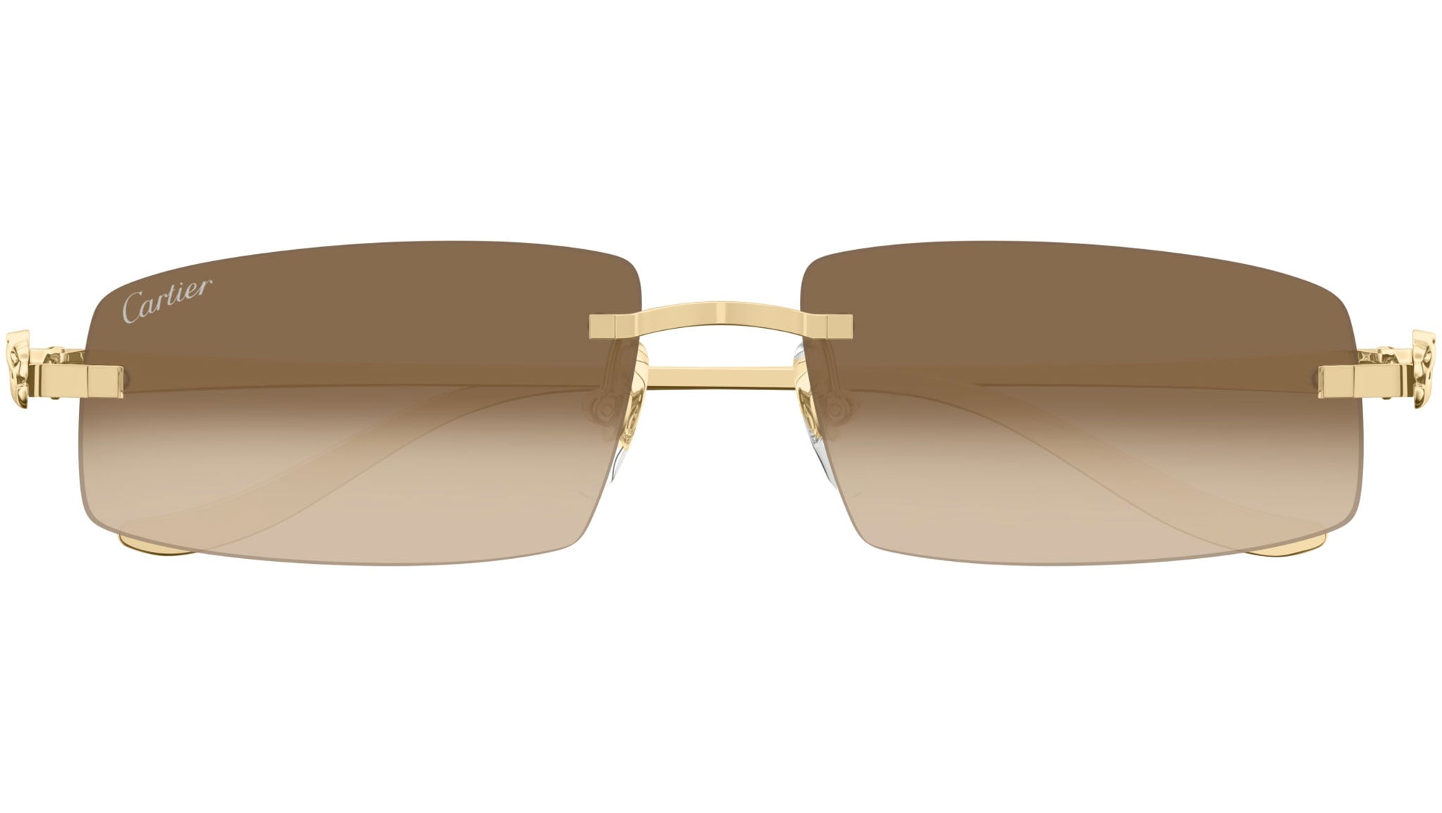 Cartier CT0505S 003 Sunglasses Shiny Gold - eye-oo.com