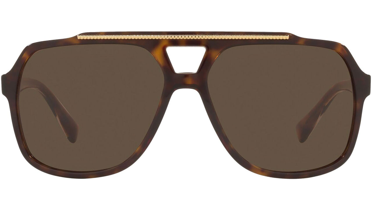 DG 4388 502/73 tortoise