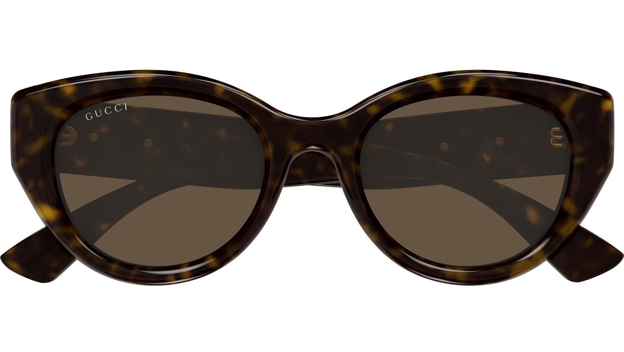 Gucci GG1976SK 003 Cat Eye Sunglasses - Havana / Brown gucci_gg1976sk_burgundy_004.jpg main image 2