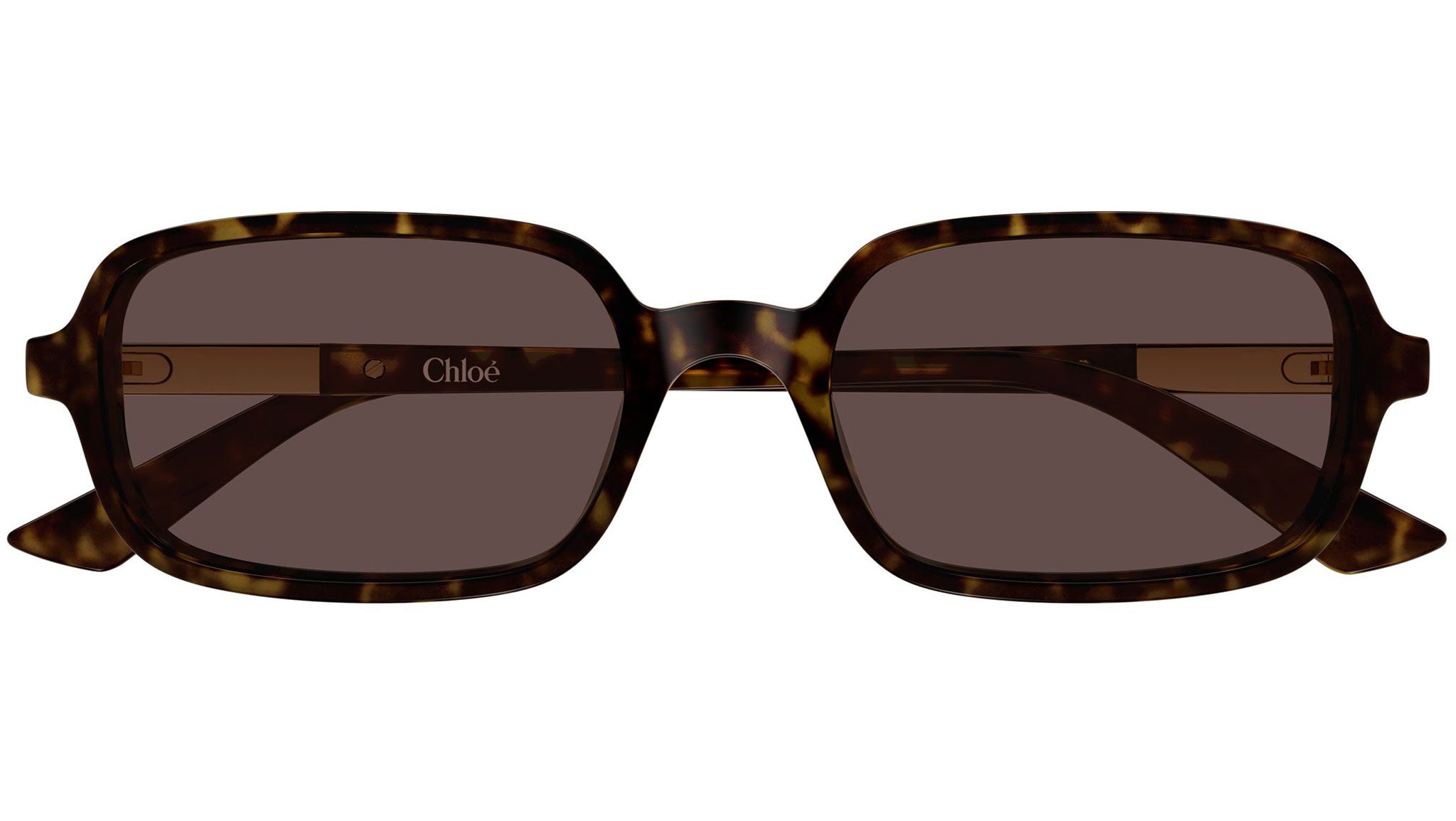 Chloe Brown Sunglasses Chloe CH0358SK Round Sunglasses | Fashion Eyewear US main image 2