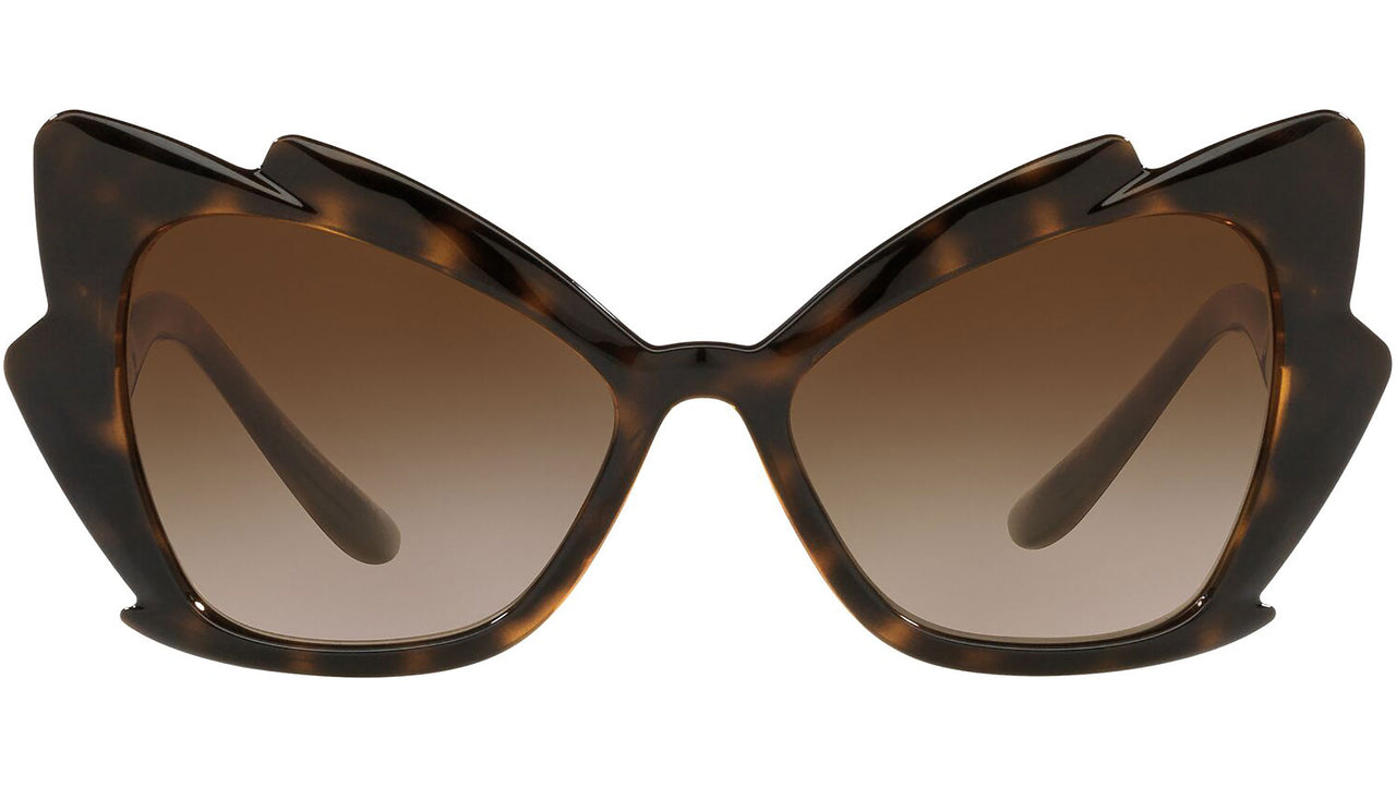 DG 6166 502/13 tortoise