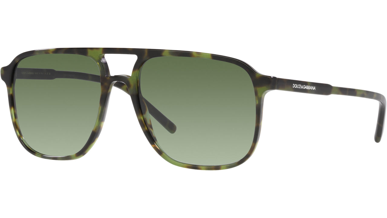 DG 4423 17358E tortoise