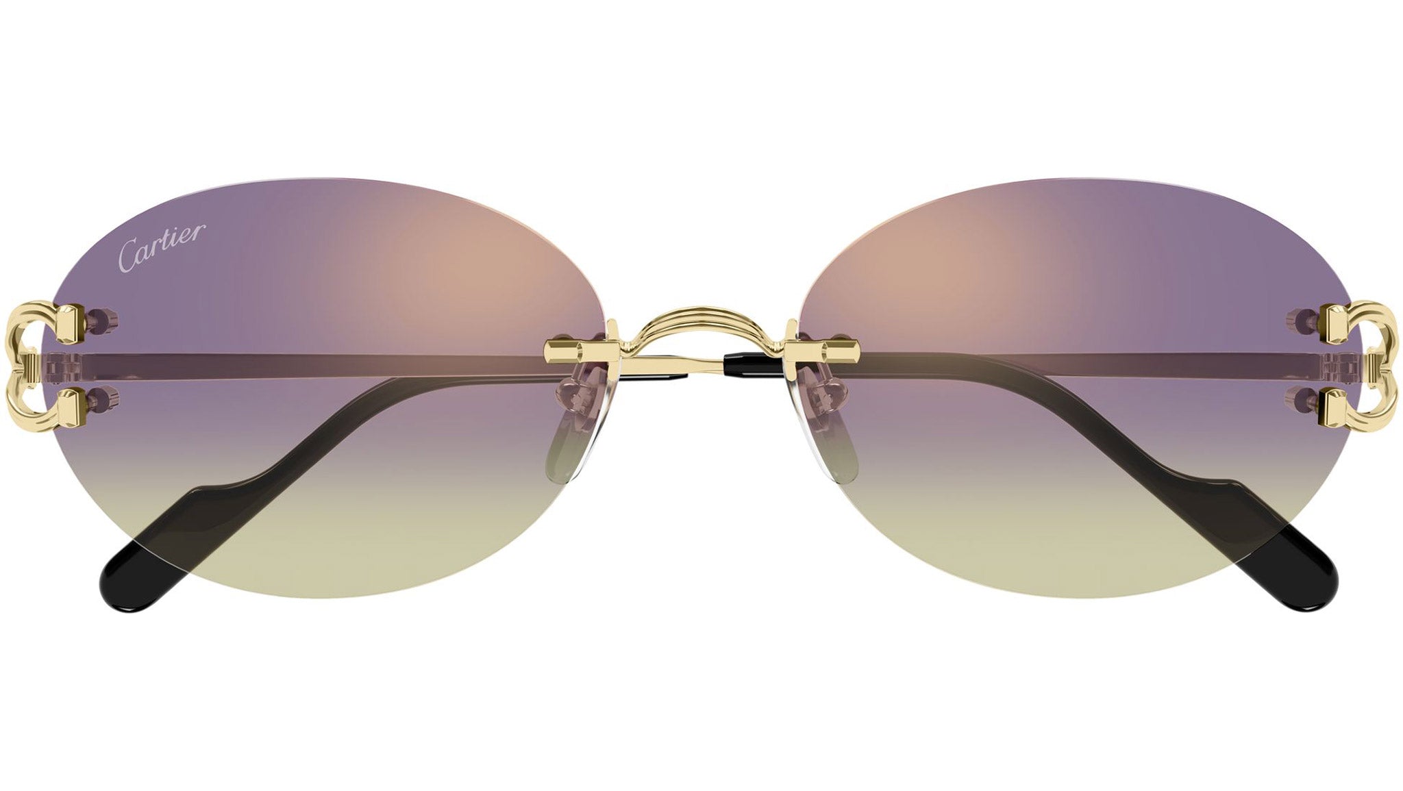 Cartier CT0551S Sunglasses 006 Shiny Gold - eye-oo.com display picture 2