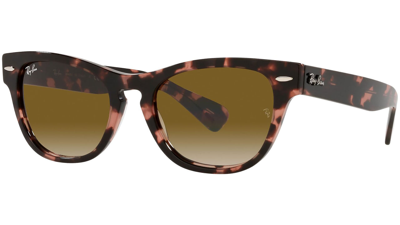 Laramie RB2201 133451 pink havana