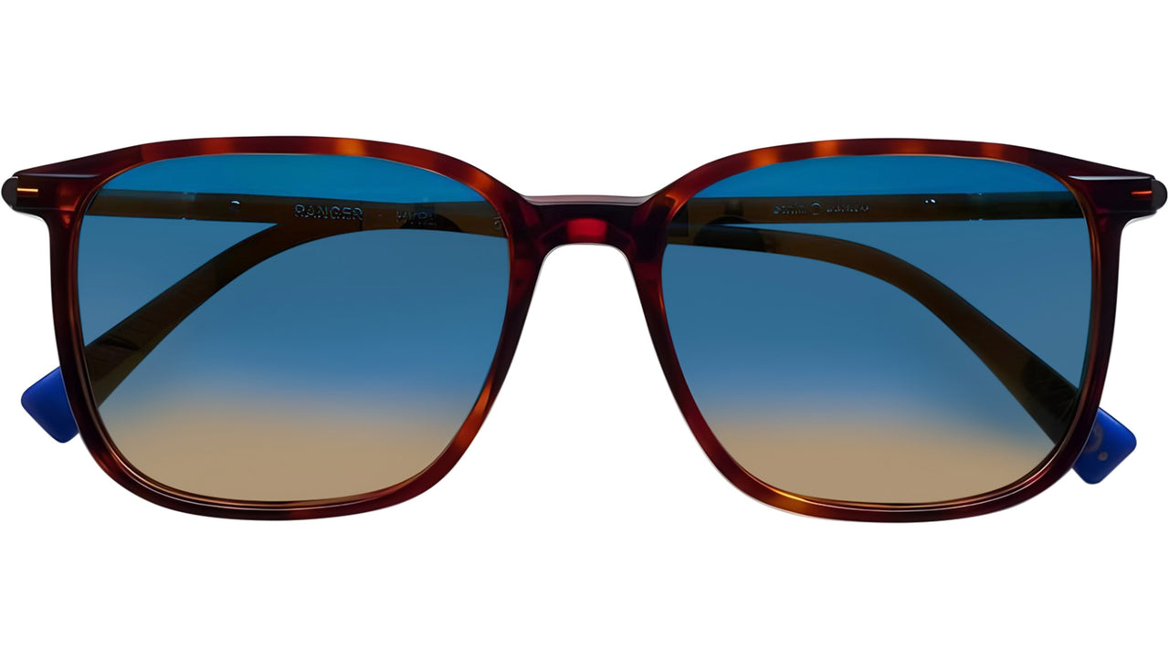 RANGER HVBL Tortoise