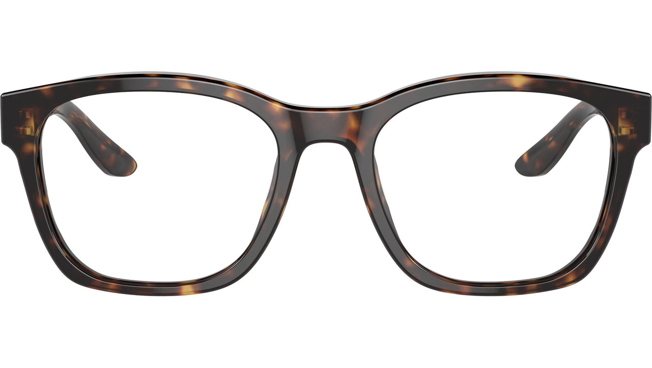 AR 7229 5879 Tortoise