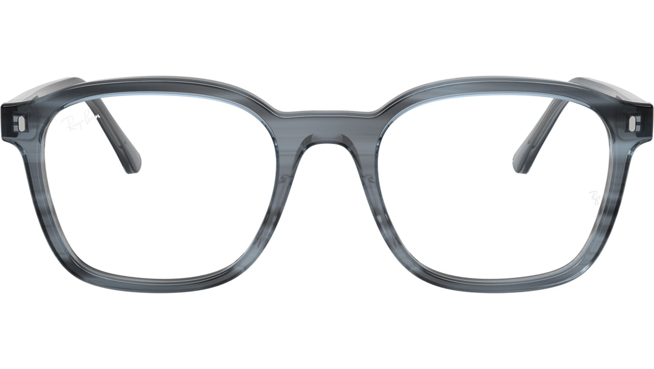 RB5460 Optics 8456