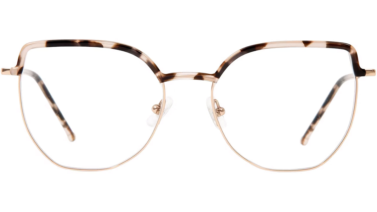 Naret 8085 2 Tortoise