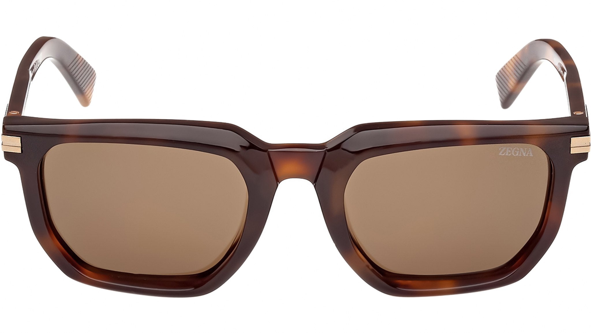Dark brown Ermenegildo Zegna sunglasses Ermenegildo Zegna Sunglasses EZ0260 37E - Best Price and  main image 2