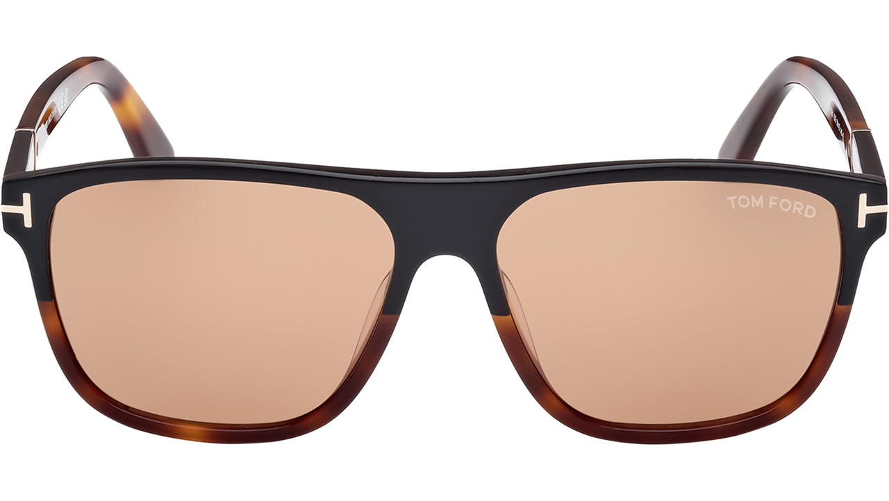 Frances FT1081 05E Black Havana Brown