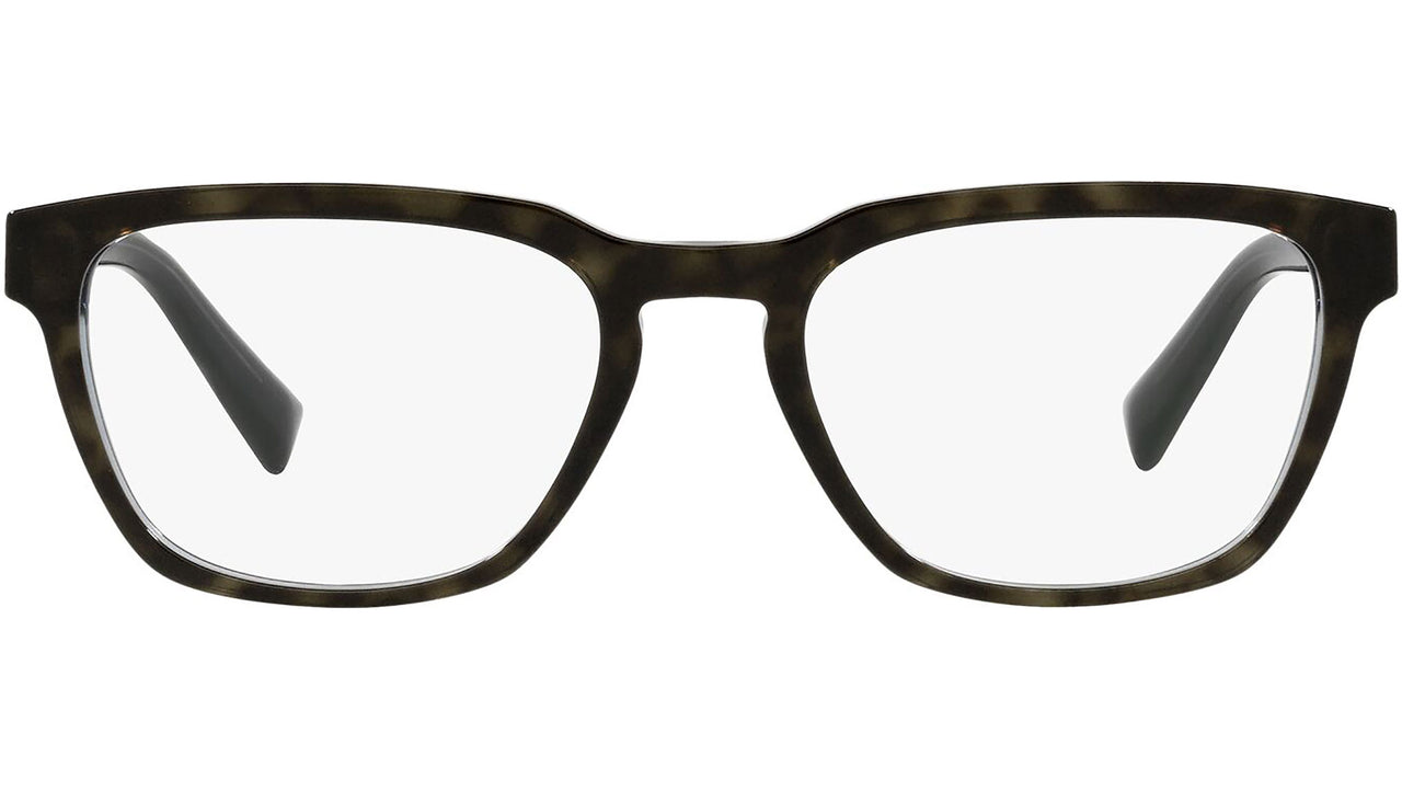 DG 3333 3209 tortoise