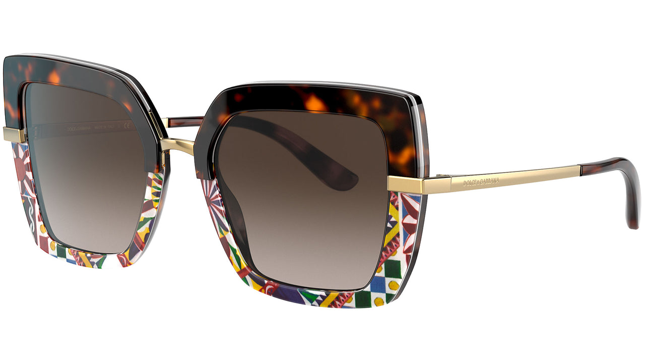 DG 4373 327813 tortoise