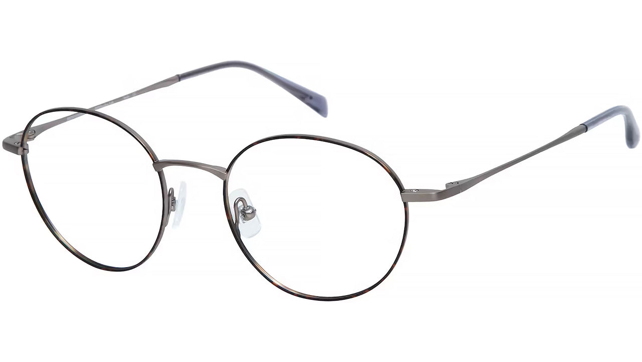 Ember 8097 8 Tortoise Gold