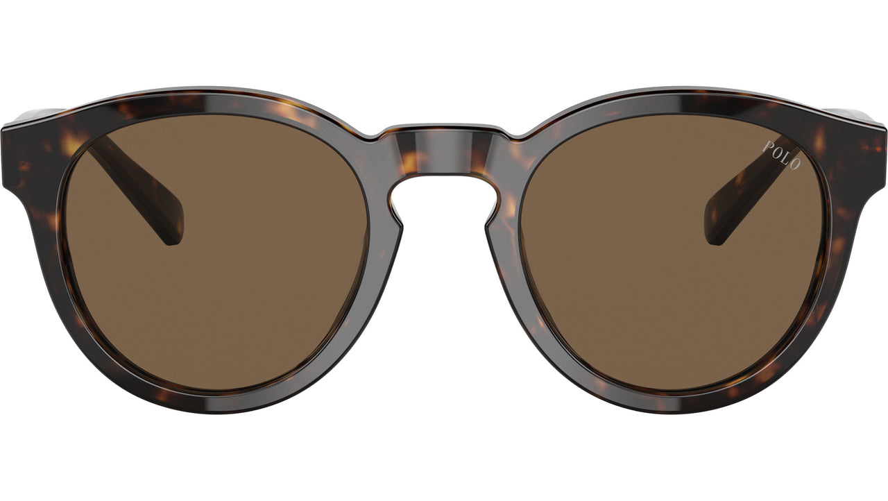 PH4184 500373 Dark Havana